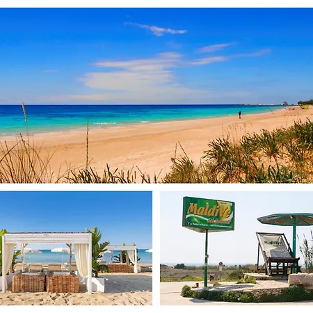 Sulvia - Alloggi Vista Mare Con Giardino Privato Holiday home