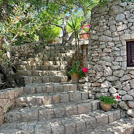 Sulvia - Alloggi Vista Mare Con Giardino Privato
